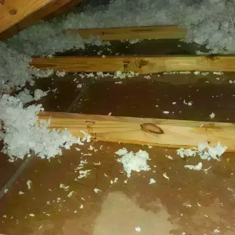 Attic Water Damage in Logan County, CO